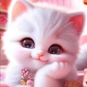 Profilfoto von Thisis